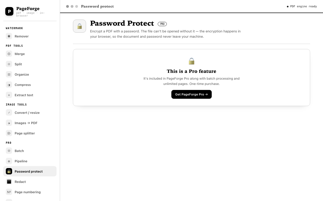 PageForge password protect interface